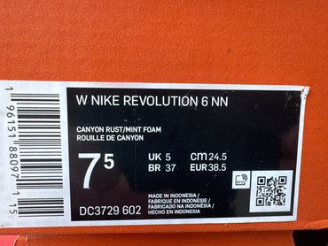 (WMNS) Nike Revolution 6 Next Nature 'Canyon Rust Mint Foam' DC3729-602